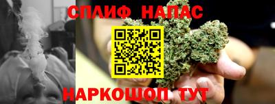 твердый Будённовск