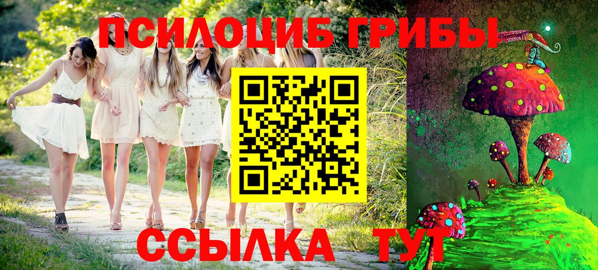 Псилоцибиновые грибы Cubensis  купить наркоту  Курганинск  Вход с VPN 